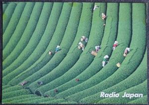 Radio Japan QSL card from 1986, showing a tea plantation.